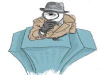 伊美区寻人公司阐述拐卖儿童的可疑行为